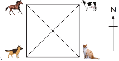 ques image